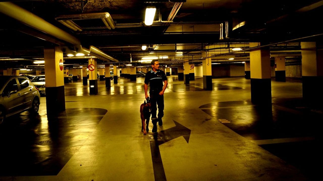 Agent de Sécurité Cynophile - Larians Security +