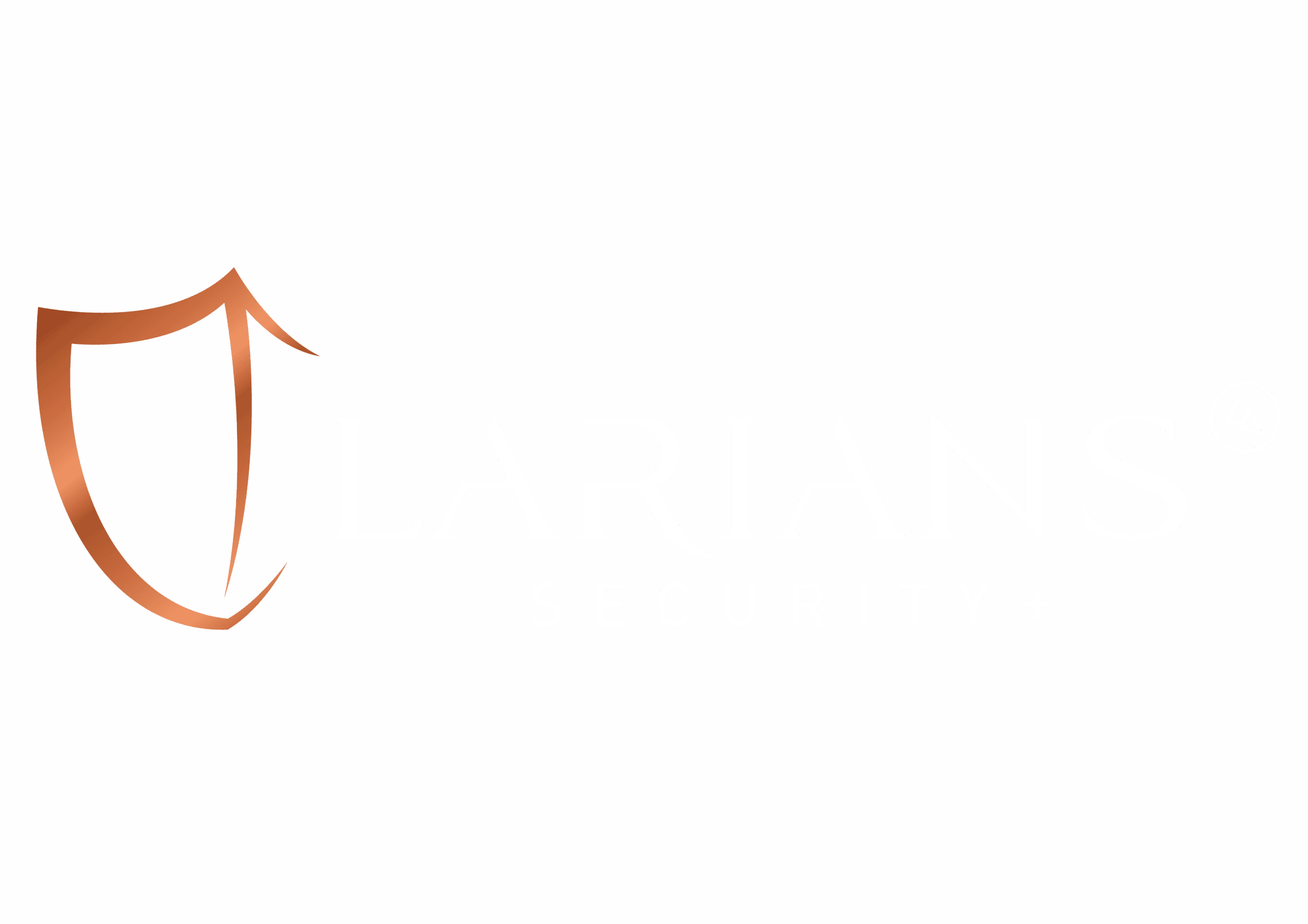 Larians Security +